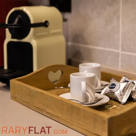 Temporaryflat Apartment *
